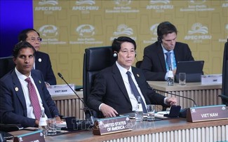 Vietnam comprometido a mantener aportes y cumplir las orientaciones de cooperación de APEC