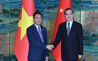 Vicepremier de Vietnam se reúne con su homólogo chino