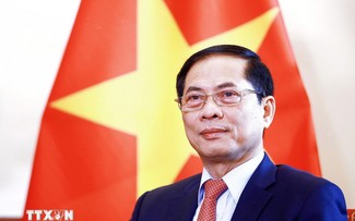 Diplomacia contribuye a abrir perspectivas para desarrollo de Vietnam en nueva era, afirma Canciller