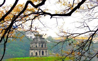 Cita de Correspondencia del 15 de noviembre de 2025