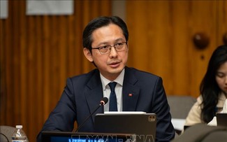 Vietnam agradece el apoyo oportuno del Fondo Central de Respuesta de Emergencia de la ONU