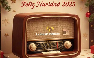 Cita de Correspondencia del 27 de diciembre de 2025