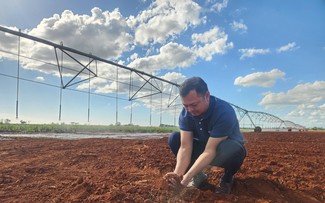 Semillas de oro vietnamitas se arraigan en la tierra roja de Cuba