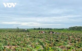 Prometen un millón de dólares neozelandeses en ayuda para Vietnam por tifón