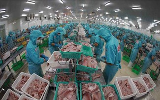 Estados Unidos: Empresas exportadoras vietnamitas no realizan dumping con productos de pangasius