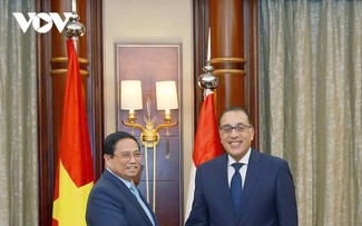 Premier vietnamita dialoga con su homólogo egipcio