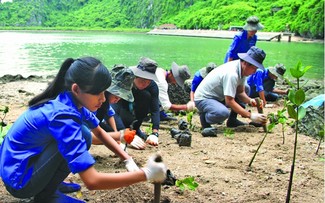 Esfuerzos de Vietnam para combatir el cambio climático