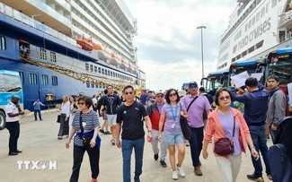 Aumentan cruceros extranjeros a Quang Ninh 