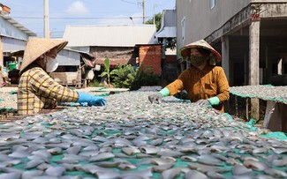 Mercado de pescado seco de Tam Nong