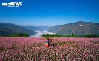 Ha Giang en la temporada de floración del trigo sarraceno