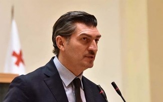 Mikheil Kavelashvili jura como presidente de Georgia