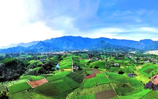 Contemplar las colinas de té más bonitas en Thai Nguyen