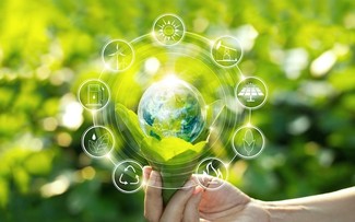 Vietnam construye una economía verde y sostenible