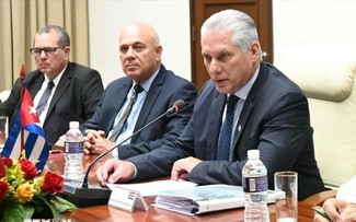 Presidente de Cuba impulsa cooperación económica con empresarios vietnamitas