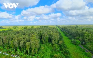 U Minh Ha: santuario en el extremo austral continental de Vietnam