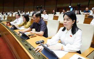 Asamblea Nacional de Vietnam aprueba varias leyes  