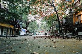 La nostalgia en canciones sobre el invierno de Hanói