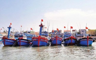 Impulsan la digitalización para eliminar la tarjeta amarilla por la pesca INDNR