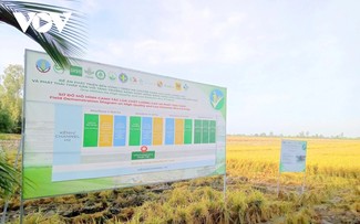 La Resolución 68 impulsa a la comunidad empresarial del Delta del Mekong