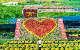 El pueblo florido más grande del delta del Mekong se llena de colores primaverales