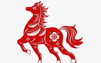 Cita de Correspondencia del 14 de febrero de 2026                   