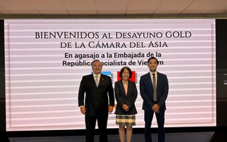 Vietnam y Argentina fortalecen cooperación comercial y de inversión