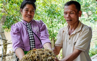 À Diên Biên, l’élevage change de visage