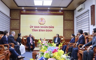 German-invested 4.6 billion USD offshore wind power project discussed in Binh Dinh