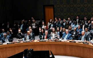 UN Security Council adopts resolution establishing Gaza stabilization force