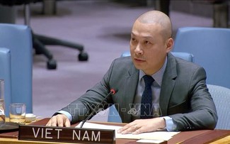 Vietnam backs all peace initiatives in line with int’l law, UN Charter: diplomat 