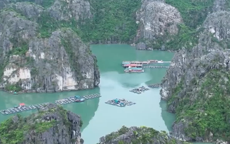 Làng chài Vung Viêng bình yên trong lòng di sản