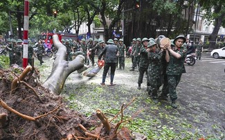 ADB wird Vietnam mit zwei Millionen US-Dollar zur Beseitigung der Folgen des Taifuns Yagi unterstützen