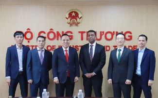 Vietnam ist Mitglied der Internationalen Organisation für erneuerbare Energien 