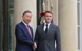 Vietnam-France: Entretien entre les présidents Tô Lâm et Emmanuel Macron