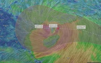 Le typhon Wipha gagne en puissance en pénétrant en mer Orientale