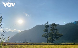 Pesta Perayaan Nasi Baru dan Penyambutan Hari Nasional di Daerah Pegunungan Tay Bac