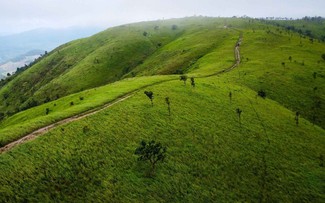 Perkenalkan Padang Rumput Pal Sol 