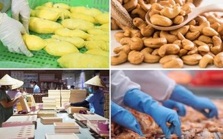 Promosi Perdagangan untuk Mencapai Pertumbuhan Ekspor Sebanyak 12 Persen pada Tahun 2025