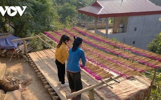 Melestarikan Kerajinan Membuat Dupa Tay di Dusun Pac Nghe, Provinsi Thai Nguyen