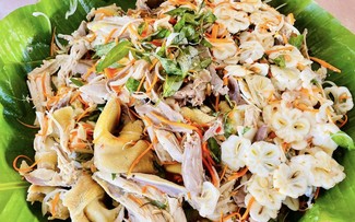 Chicken salad with mangosteen 