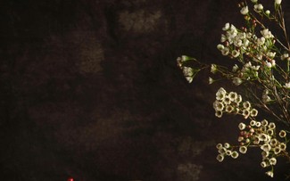 Sakura blossom cookies by foodblogger Huong Thao