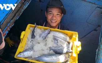 Gia Lai fishermen embrace digital transformation for fishing transparency 