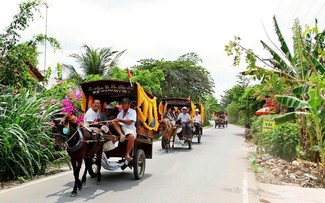Year of the Horse: Horse carriage rides on Thoi Son islet