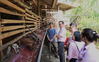 Sozialkredite – der Schlüssel zum Ausweg aus der Armut in Thai Nguyen