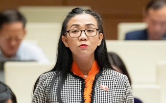 Die Beteiligung privater Unternehmen an der Entwicklung des Atomstroms fördern