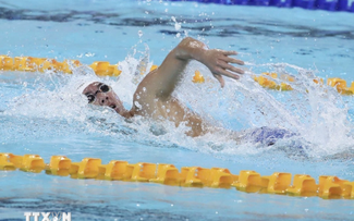 SEA Games 33: Vietnamesisches Schwimmteam gewinnt sechs Goldmedaillen und belegt den 2. Platz in der Gesamtwertung