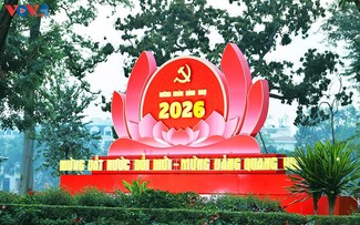 Die festliche Atmosphäre von Tet in ganz Vietnam 