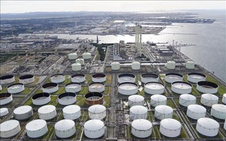 Die G7 erwägt die Freigabe von bis 400 Millionen Barrel Öl