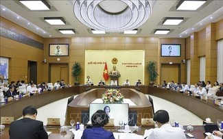 55. Sitzung des ständigen Parlamentsausschusses: Verbesserung der vietnamesischen Auslandsvertretungen