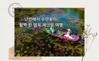 닌빈에서 수련꽃이 활짝 핀 땀꼭 체크인 여행